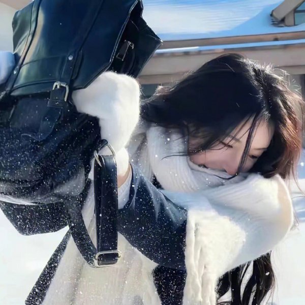 海狼行动